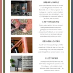 COAST VYBE LIGHT – Image 2