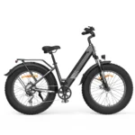 iScooter M60 All-Terrain Elektrofahrrad – Bild 8